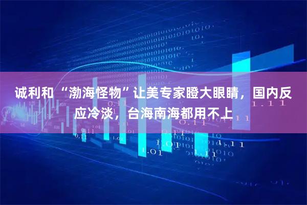 诚利和 “渤海怪物”让美专家瞪大眼睛，国内反应冷淡，台海南海都用不上