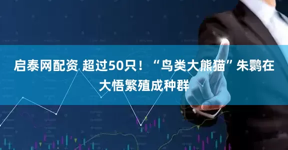 启泰网配资 超过50只！“鸟类大熊猫”朱鹮在大悟繁殖成种群