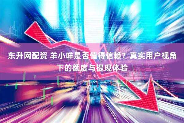 东升网配资 羊小咩是否值得信赖？真实用户视角下的额度与提现体验