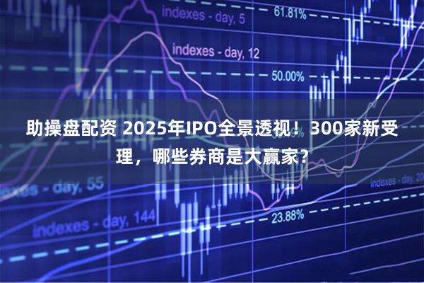 助操盘配资 2025年IPO全景透视！300家新受理，哪些券商是大赢家？