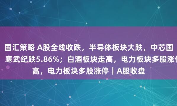 国汇策略 A股全线收跌，半导体板块大跌，中芯国际跌8.97%，寒武纪跌5.86%；白酒板块走高，电力板块多股涨停｜A股收盘